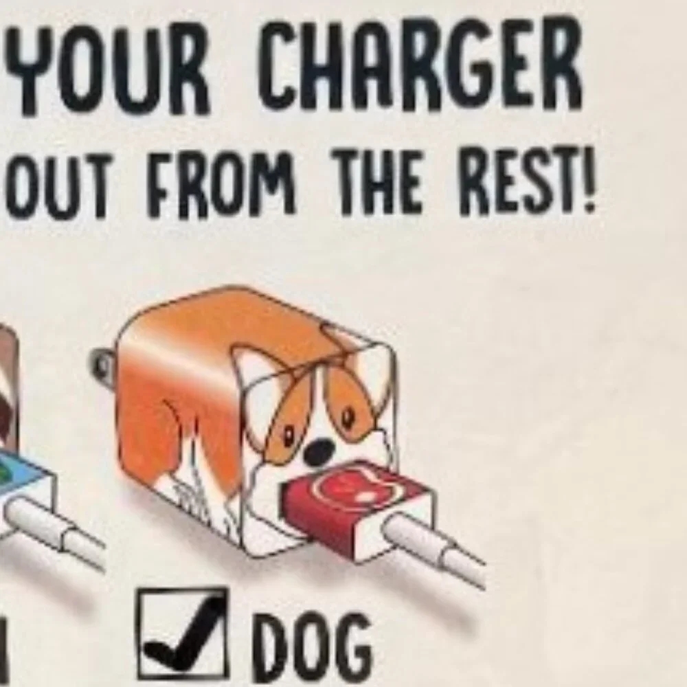 NEW ~ CHARGER SKINZ ~ DOG CHARGER USB WRAP STICKER ( ADORABLE CORGI TYPE DOG )